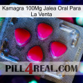 Kamagra 100Mg Oral Jelly For Sale 13